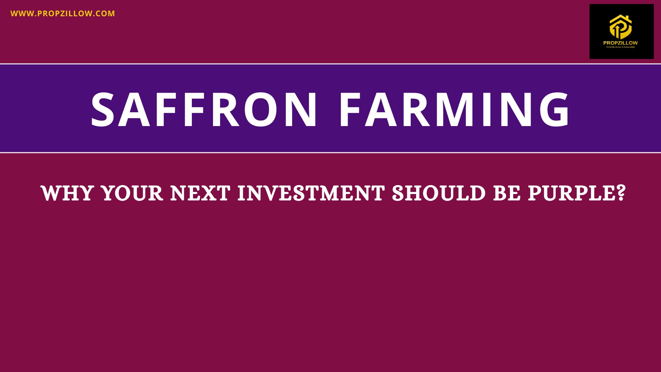 saffron farming